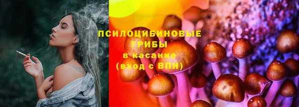 прущие грибы Арсеньев