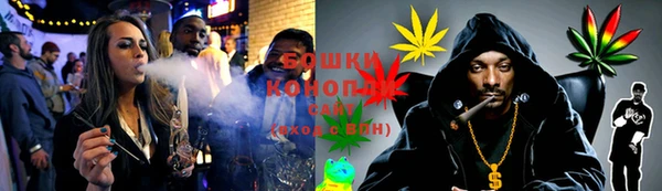 прущие грибы Арсеньев