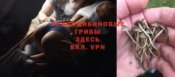 первитин Балахна