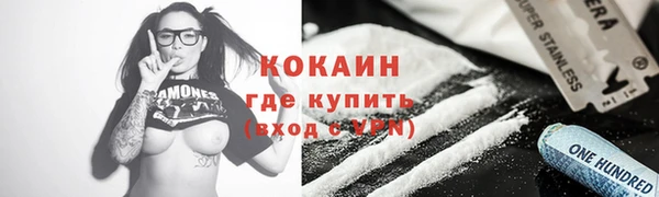 прущие грибы Арсеньев