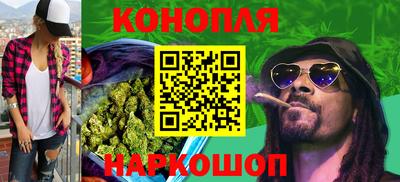 крисы Коммунар