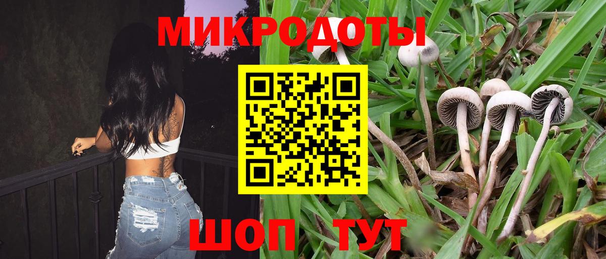 Псилоцибиновые грибы мухоморы  Галлюциногенные грибы GOLDEN TEACHER  Вход с VPN  закладки  Кубинка 