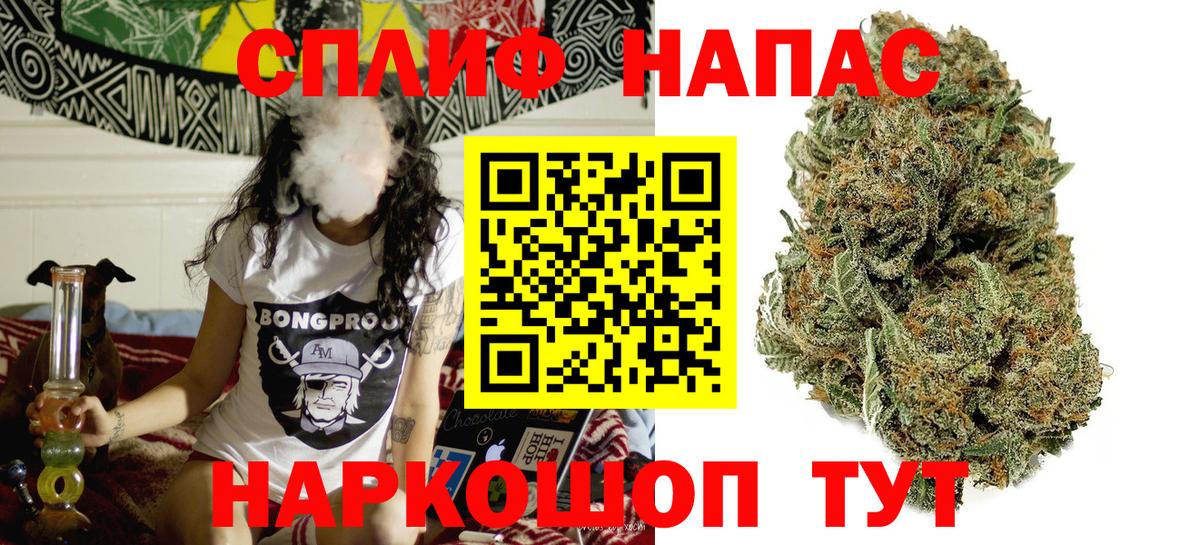 Бошки Шишки ГИДРОПОН Кубинка